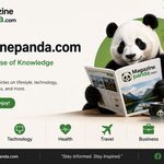 Magazinepanda com
