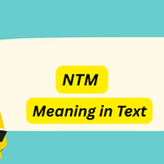 NTM Meaning in Text: Complete 2026 Guide, All 6 Uses & Examples